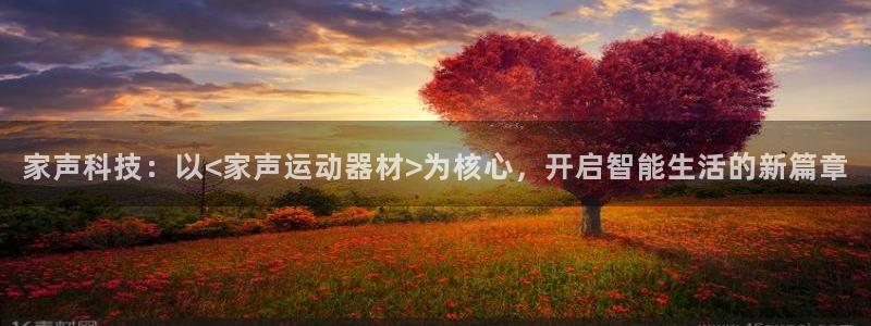 凯捷体育科技：家声科技：以<家声运动器材>为核心，开