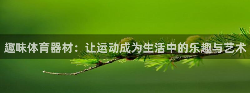 凯捷体育娱乐：趣味体育器材：让运动成为生活中的乐趣与