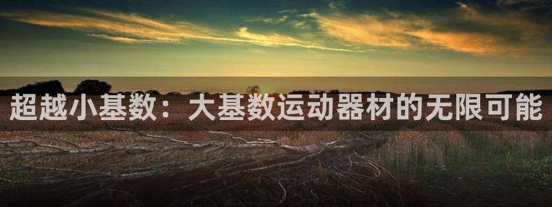 凯捷体育代理：超越小基数：大基数运动器材的无限可能