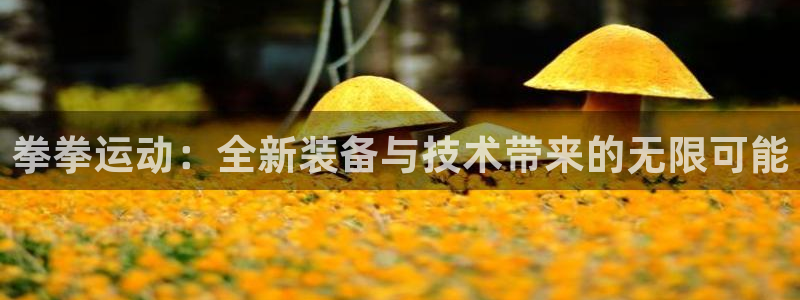 海南凯捷体育发展怎么样：拳拳运动：全新装备与技术带来