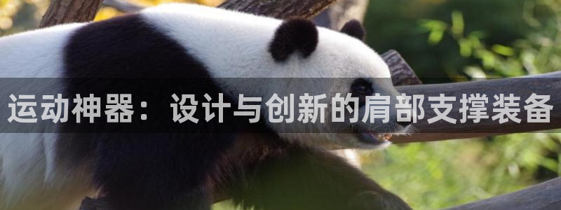 凯捷体育娱乐网站：运动神器：设计与创新的肩部支撑装备
