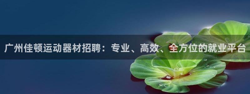 凯捷体育：广州佳顿运动器材招聘：专业、高效、全方位的