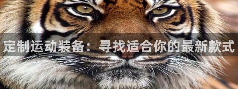 凯捷体育娱乐：定制运动装备：寻找适合你的最新款式