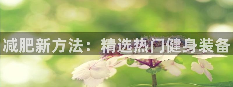 意昂平台体育：减肥新方法：精选热门健身装备