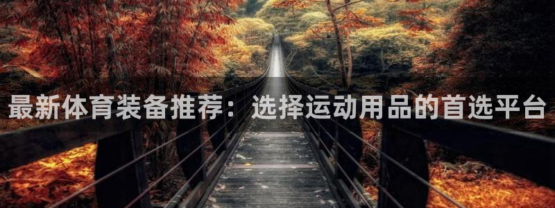 凯捷体育娱乐下载：最新体育装备推荐：选择运动用品的首