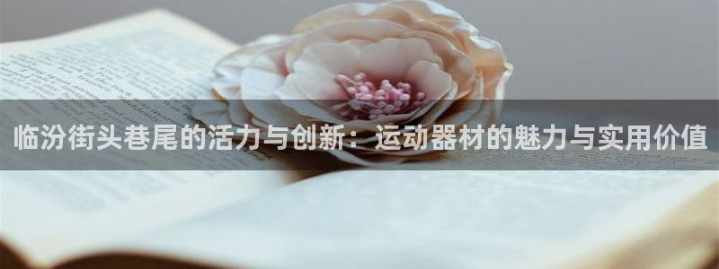 凯捷体育招商电话号码是多少啊：临汾街头巷尾的活力与创