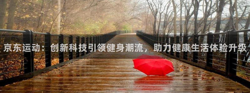 凯捷体育代理：京东运动：创新科技引领健身潮流，助力健
