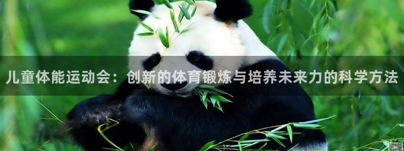 凯捷体育招商电话是多少：儿童体能运动会：创新的体育锻