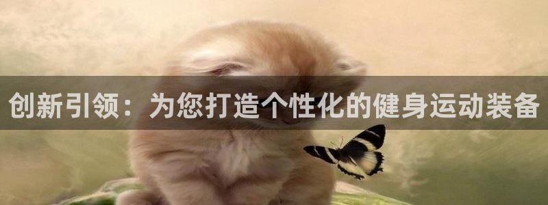 凯捷体育娱乐首页网站大全：创新引领：为您打造个性化的
