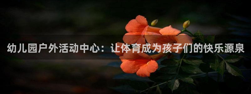 凯捷体育平台注册要钱吗安全吗：幼儿园户外活动中心：让
