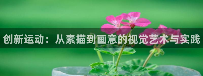 凯捷体育招商电话：创新运动：从素描到画意的视觉艺术与