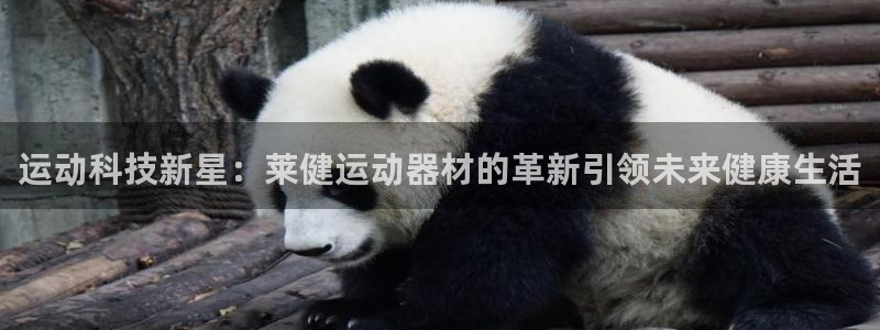 凯捷体育招商电话号码是多少：运动科技新星：莱健运动器