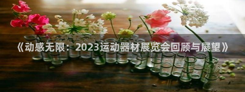 凯捷体育招商电话号码是多少：《动感无限：2023运动
