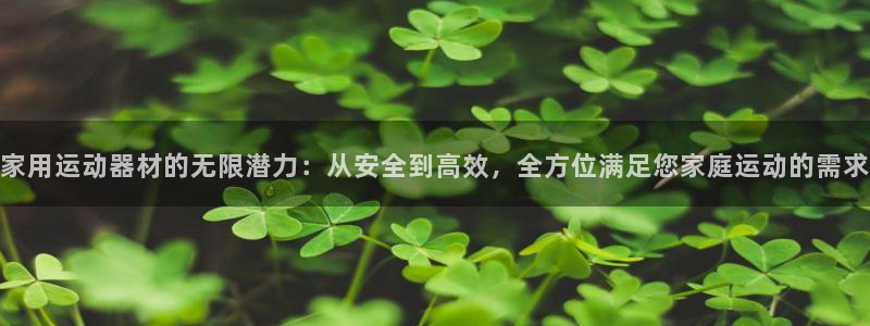 凯捷体育平台APP：家用运动器材的无限潜力：从安全到