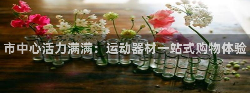 凯捷体育平台APP：市中心活力满满：运动器材一站式购物体验