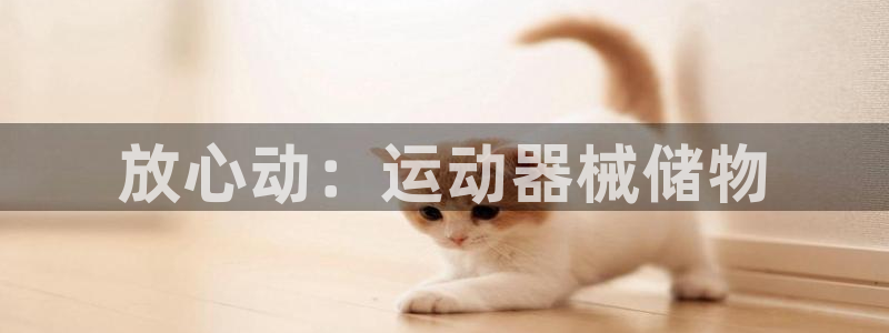 凯捷体育平台是正规平台吗知乎：放心动：运动器械储物