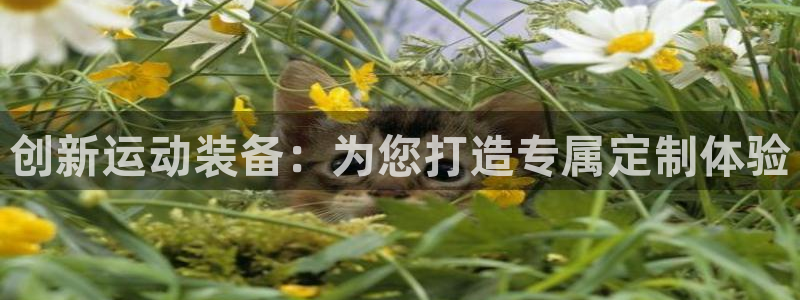 凯捷体育是干嘛的公司：创新运动装备：为您打造专属定制体验