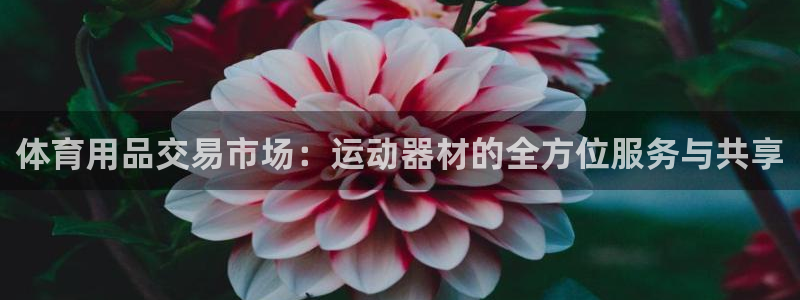 凯捷体育集团官网网址：体育用品交易市场：运动器材的全方位服务
