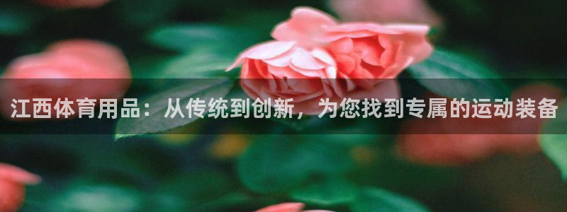 凯捷体育招商电话地址是多少：江西体育用品：从传统到创新，为您