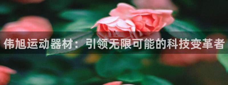凯捷体育招商电话号码是多少啊：伟旭运动器材：引领无限可能的科
