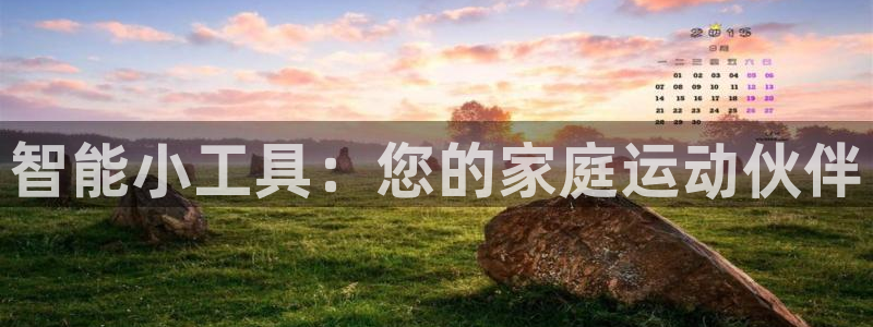 凯捷体育软件：智能小工具：您的家庭运动伙伴