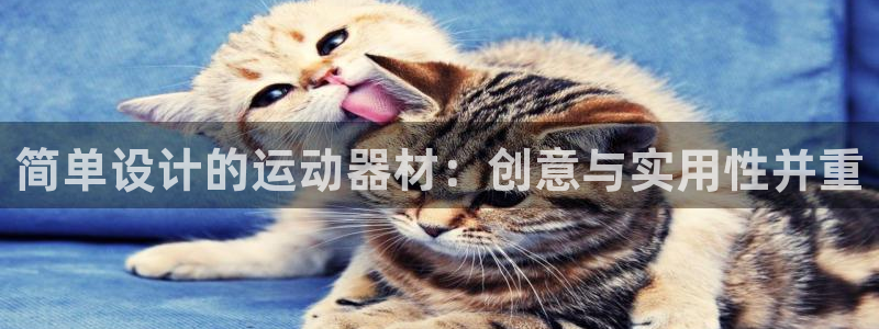 凯捷体育开户：简单设计的运动器材：创意与实用性并重