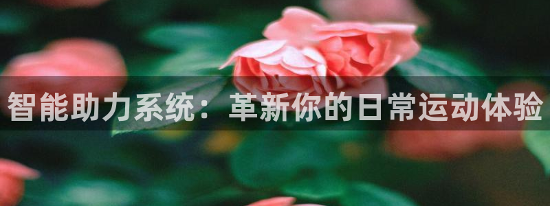 凯捷体育软件：智能助力系统：革新你的日常运动体验
