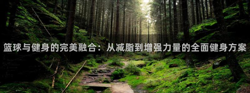 凯捷体育招商电话号码查询是多少：篮球与健身的完美融合