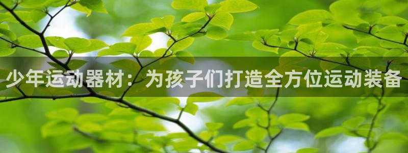 凯捷体育平台是正规平台吗安全吗：少年运动器材：为孩子