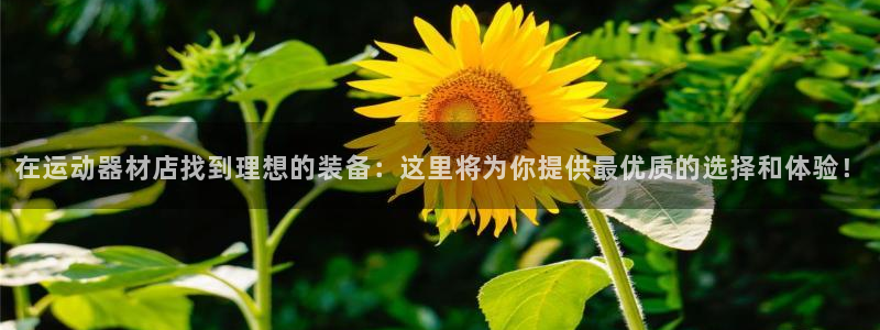 凯捷体育：在运动器材店找到理想的装备：这里将为你提供