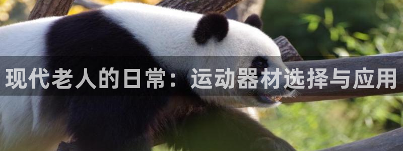 凯捷体育娱乐：现代老人的日常：运动器材选择与应用