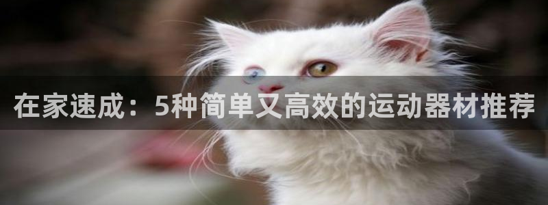 意昂集团官网：在家速成：5种简单又高效的运动器材推荐