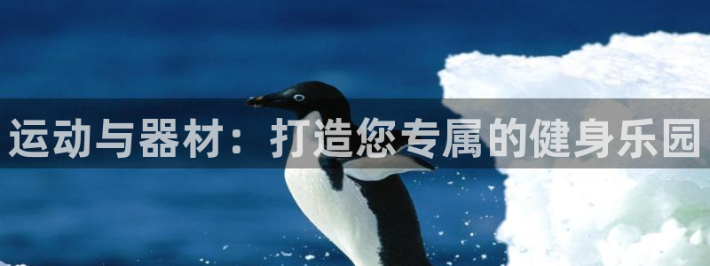 凯捷体育娱乐：运动与器材：打造您专属的健身乐园