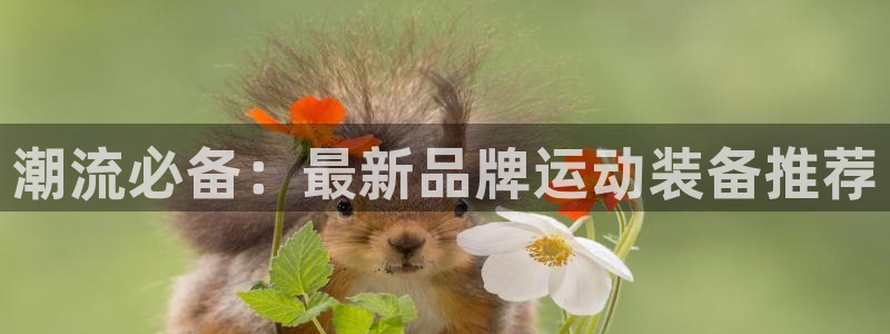 凯捷体育五金厂：潮流必备：最新品牌运动装备推荐