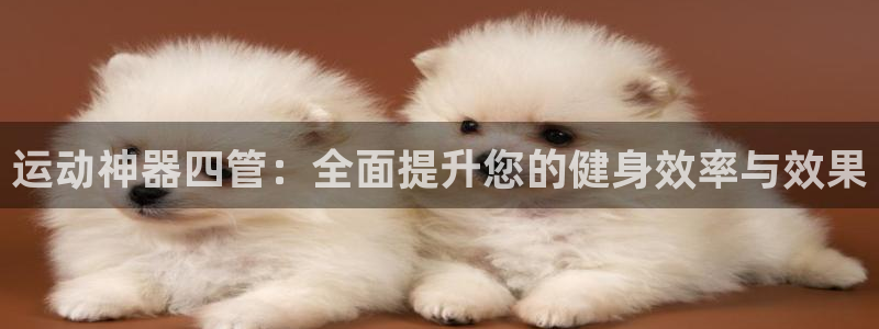 海南凯捷体育：运动神器四管：全面提升您的健身效率与效