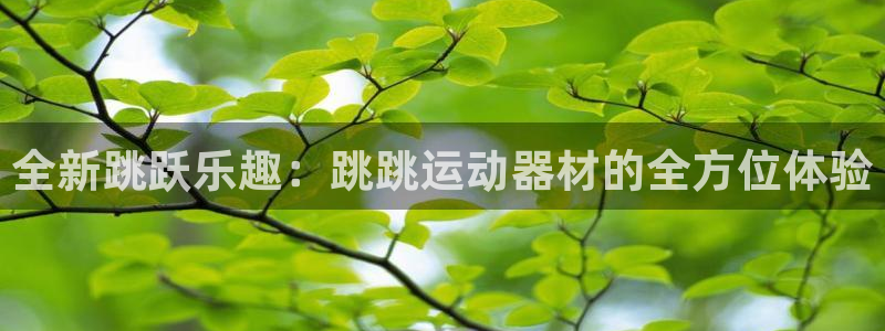 凯捷体育平台是正规平台吗知乎：全新跳跃乐趣：跳跳运动器材的全