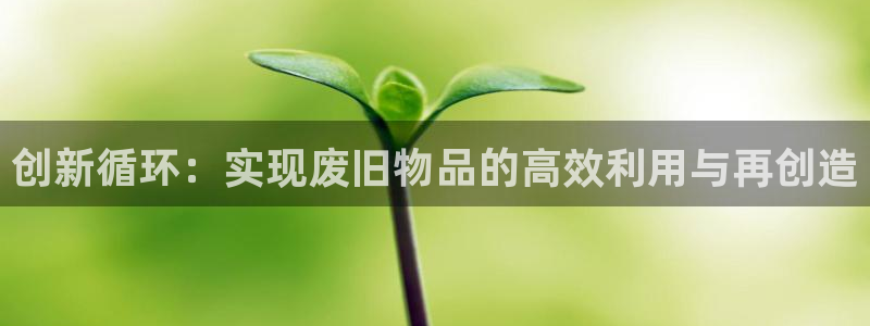 凯捷体育官方客服电话：创新循环：实现废旧物品的高效利