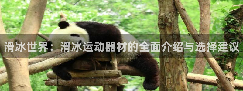 凯捷体育娱乐下载：滑冰世界：滑冰运动器材的全面介绍与