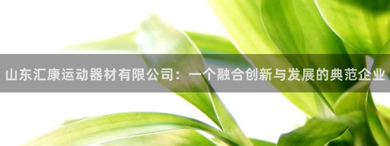 意昂集团官网：山东汇康运动器材有限公司：一个融合创新