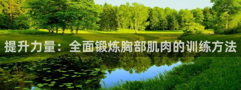 海南凯捷体育发展怎么样：提升力量：全面锻炼胸部肌肉的