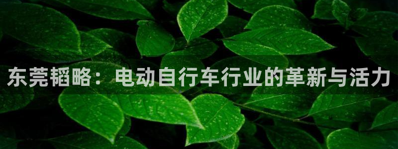 凯捷体育平台注册：东莞韬略：电动自行车行业的革新与活