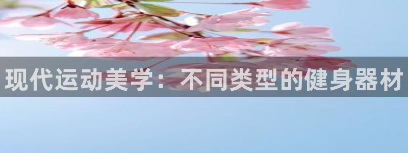 凯捷体育招商：现代运动美学：不同类型的健身器材