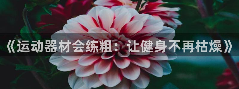 凯捷体育集团E.ON：《运动器材会练粗：让健身不再枯