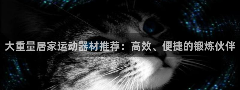 凯捷体育娱乐：大重量居家运动器材推荐：高效、便捷的锻
