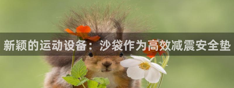 凯捷体育官网：新颖的运动设备：沙袋作为高效减震安全垫
