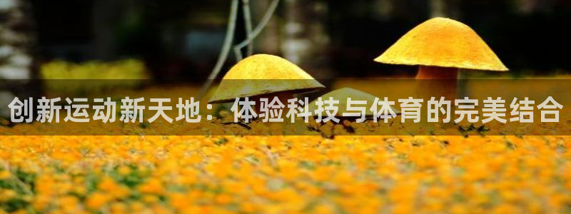 凯捷体育平台注册：创新运动新天地：体验科技与体育的完美结合