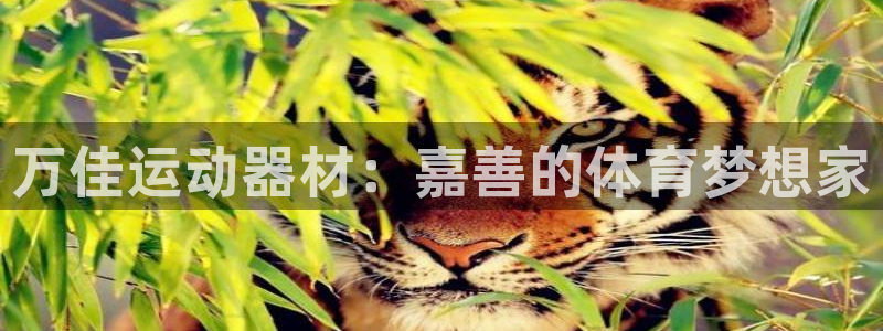 凯捷体育招商电话号码查询：万佳运动器材：嘉善的体育梦