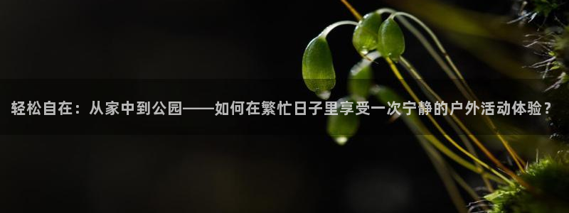 凯捷体育娱乐网站：轻松自在：从家中到公园——如何在繁