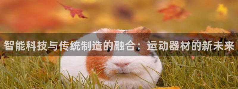 凯捷体育平台注册流程图：智能科技与传统制造的融合：运动器材的