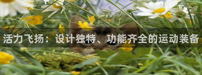 凯捷体育娱乐下载：活力飞扬：设计独特、功能齐全的运动装备